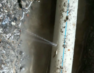 尤溪测漏水哪家好