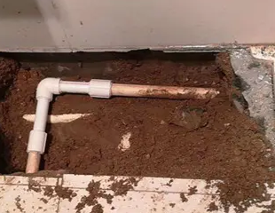 尤溪测漏水哪家好