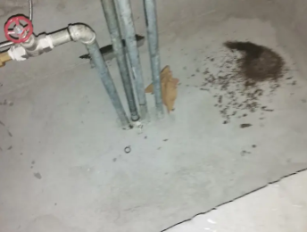 尤溪卫生间测漏水价格明细